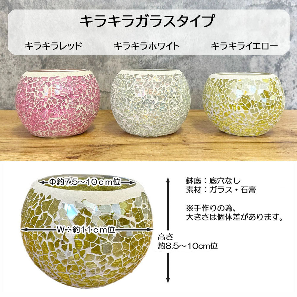 ガラス器 クリア ガラスポット 選べる形 スクエア ラウンド プランター花器