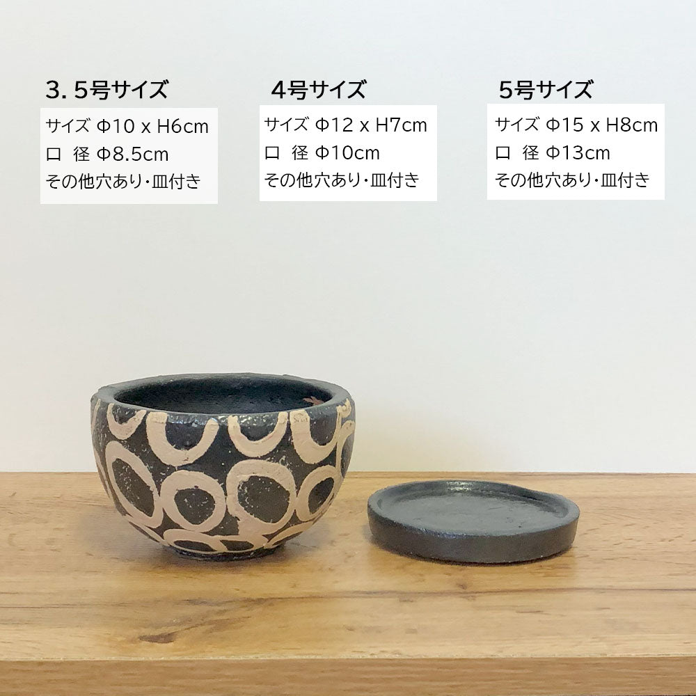 宝石のような観葉植物のお店 【Jewelry Plant】 陶器鉢 4号 デザイン陶器 ソーサー付 ブラック ホワイトリング 送料無料 [  AD35-120・DB60] – Jewelry Plant online