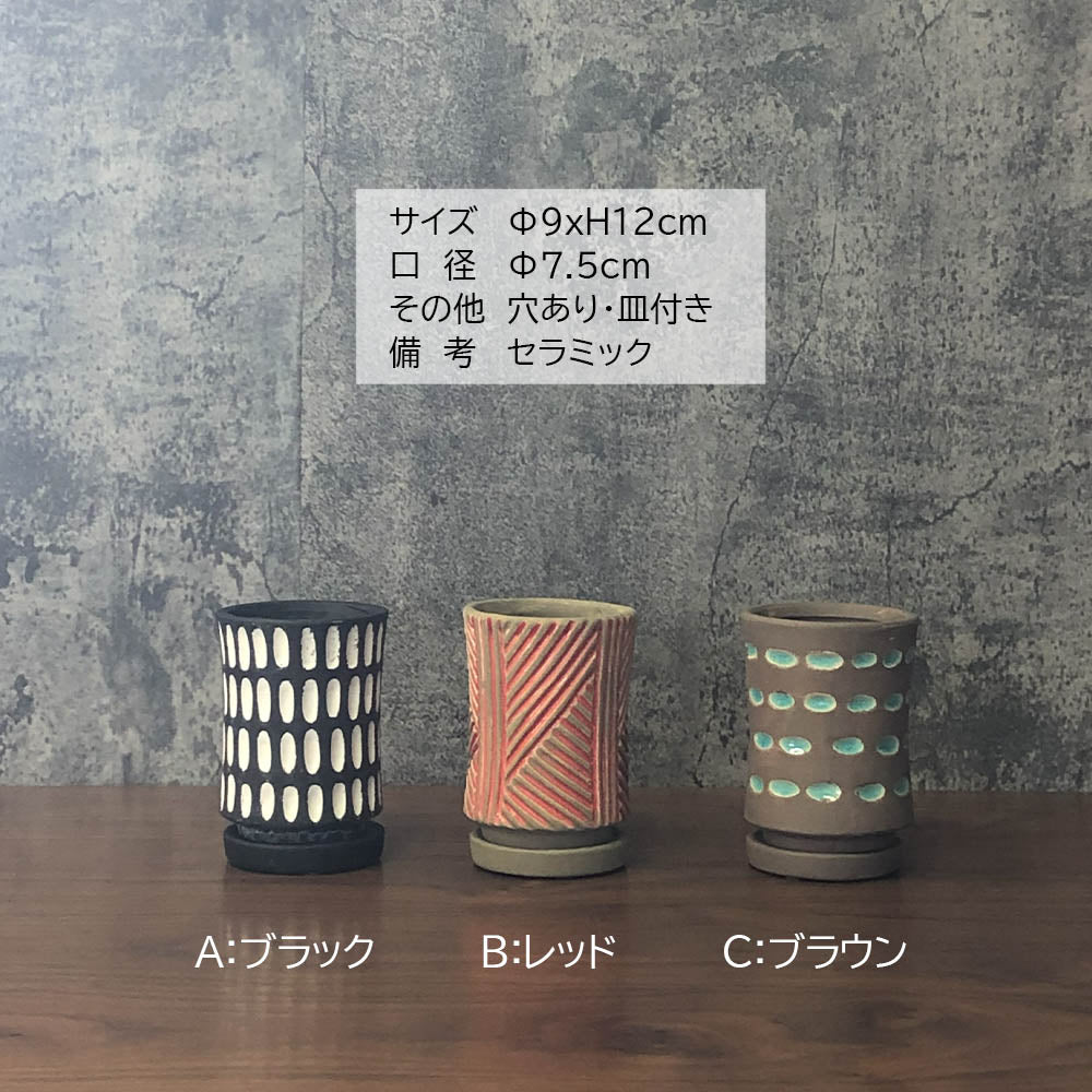 宝石のような観葉植物のお店 【Jewelry Plant】 陶器鉢 3号 デザイン