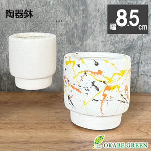 宝石のような観葉植物のお店 【Jewelry Plant】 陶器鉢 3号 宝石のような観葉植物のお店 【Jewelry Plant】 陶器鉢 3号