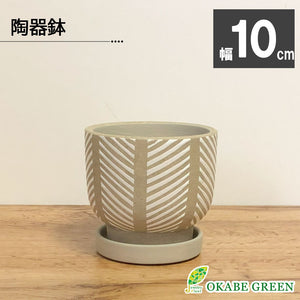 宝石のような観葉植物のお店 【Jewelry Plant】 鉢 おしゃれ