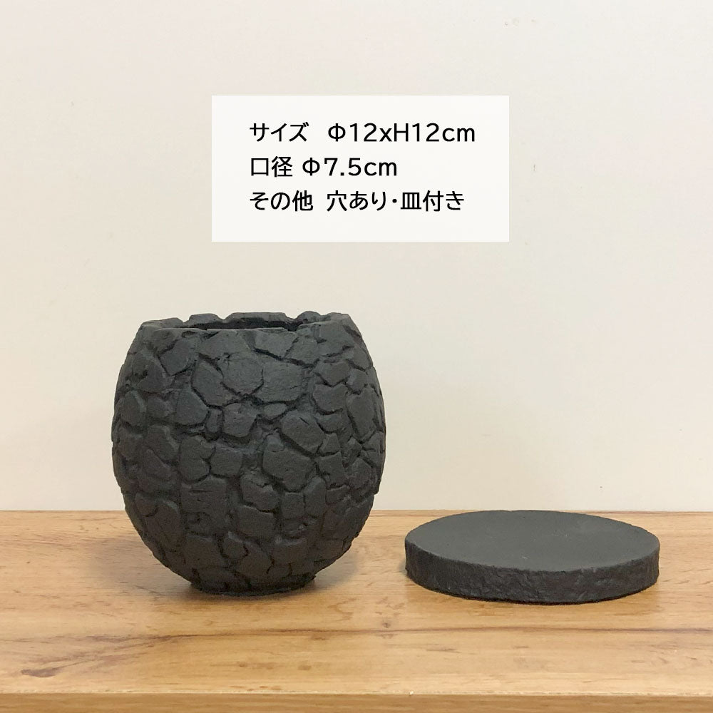 宝石のような観葉植物のお店 【Jewelry Plant】 陶器鉢 4号