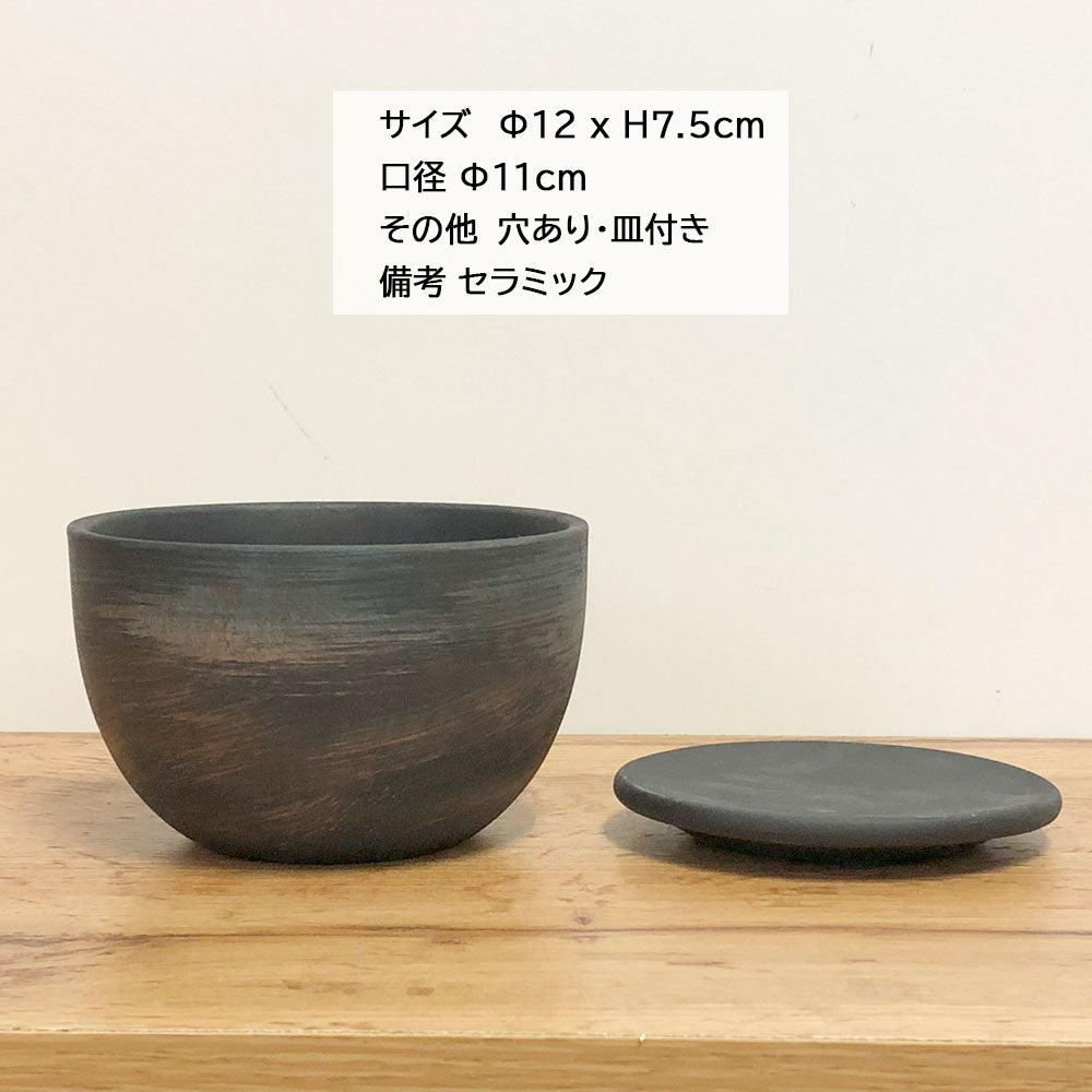 盆栽鉢 4号 鉄砂三ツ足 幅11cm×高さ7cm 4号 鉄砂三ツ足 : 30024a124 : 盆栽妙 ヤフー店 - 通販 - Yahoo!ショッピング