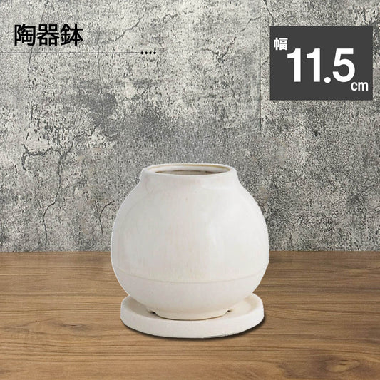 陶器鉢 BOEX モーフ ボール 11.5cm