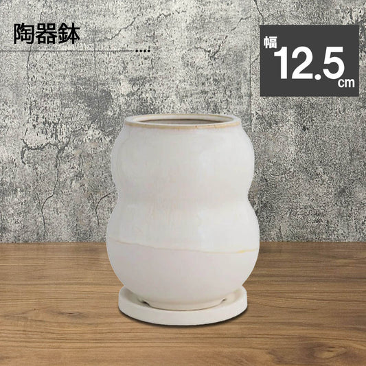 陶器鉢 BOEX モーフ デュオトール 12.5cm