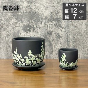 鉢 選べるサイズ 2.5号 4号 陶器鉢 送料別 – Jewelry Plant online