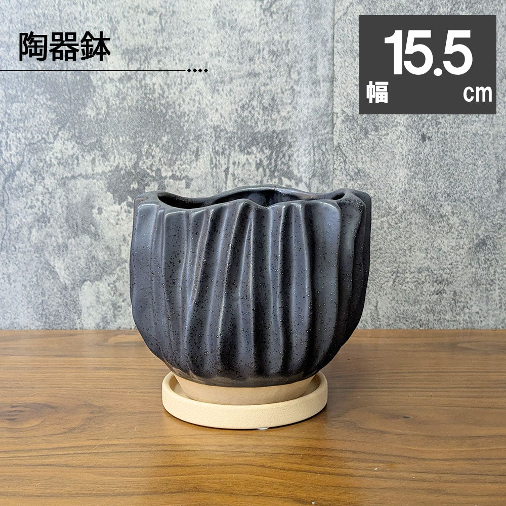 鉢 5号 おしゃれ 陶器鉢 ブラック 黒 ベージュ デザイン陶器 ソーサー付 プリーツ 送料別