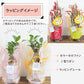 【有料ラッピングサービス】 ３～４号鉢用 ミニ ラッピング