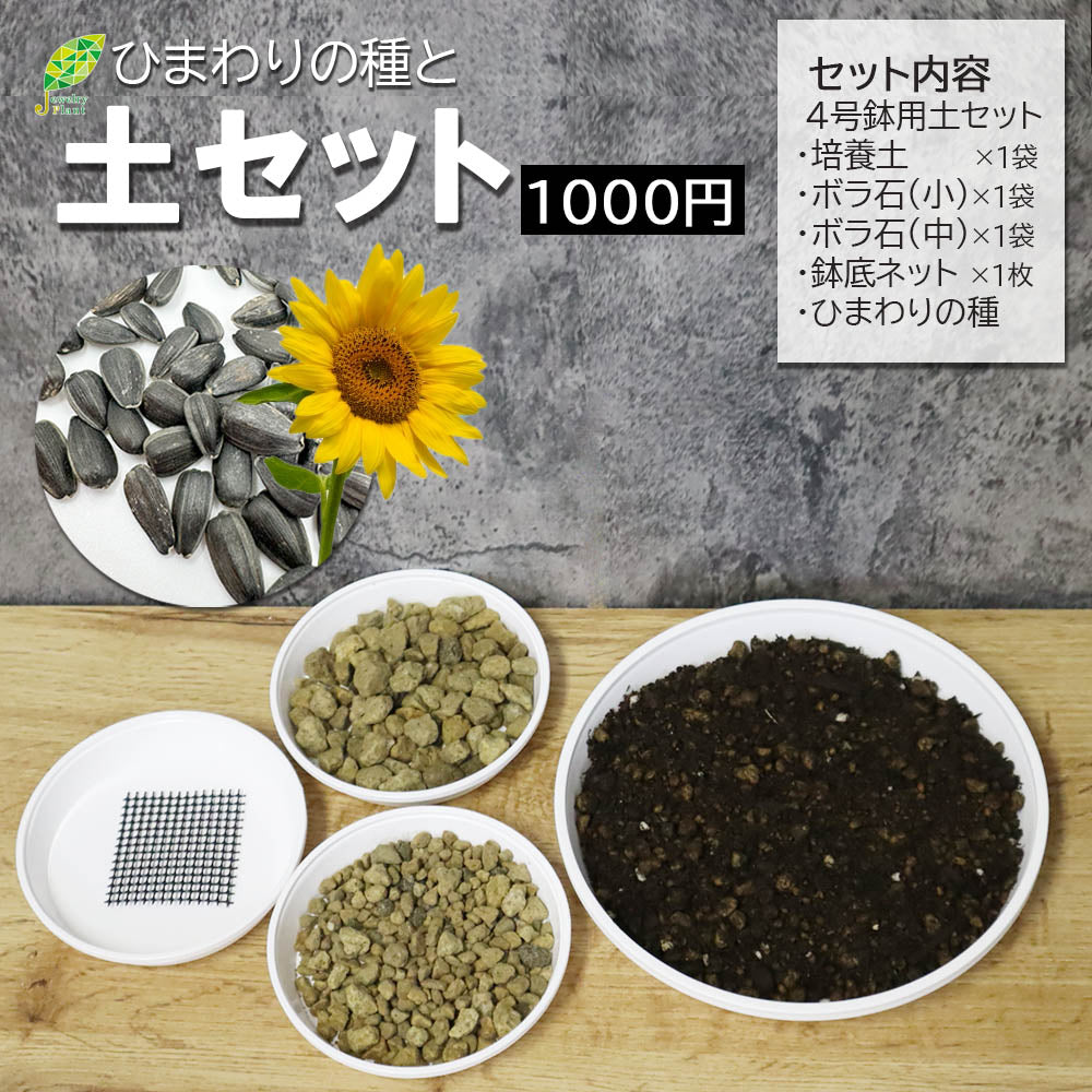 送料無料】観葉植物用植え替え土セット｜お手軽なオールインワンキットを通販で – Jewelry Plant online