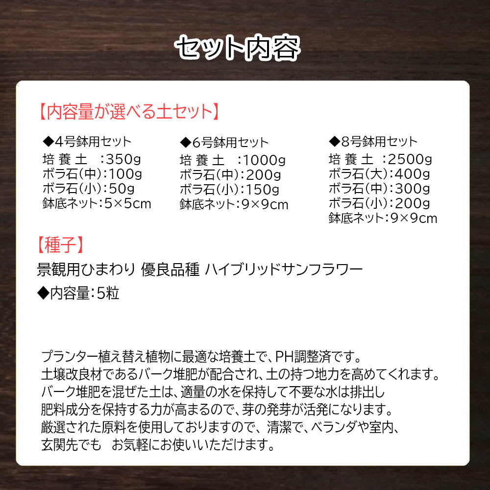 【1000円ポッキリ】 観葉植物 花 植え替え 4号土セット ヒマワリ 種 ハイブリッドサンフラワー