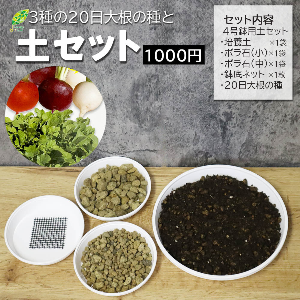 1000円ポッキリ】 観葉植物 野菜 種 植え替え 4号土セット 20日 大根 二十日大根 – Jewelry Plant online