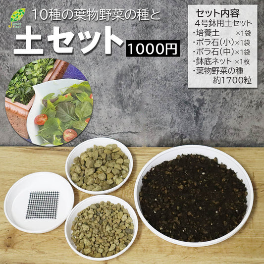 【1000円ポッキリ】 観葉植物 野菜 種 植え替え 4号土セット 10種の葉物野菜 ミックス