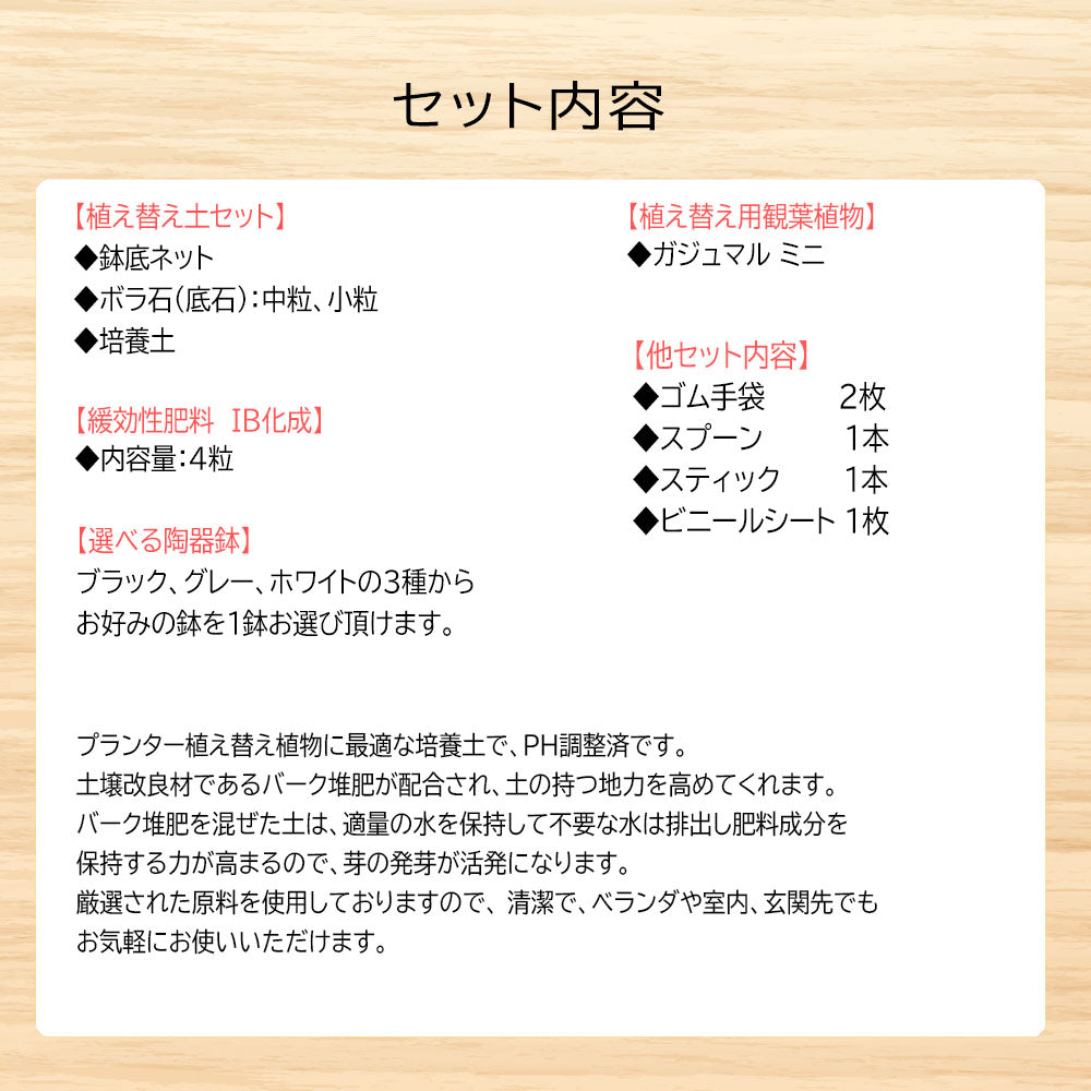 培養土 【5000円ポッキリ】 観葉植物 植え替え 初心者 土セット まとめ買い お手軽 ガジュマル 肥料 IB化成 培養土 底ネット 送料無料 [植え替えオプション]