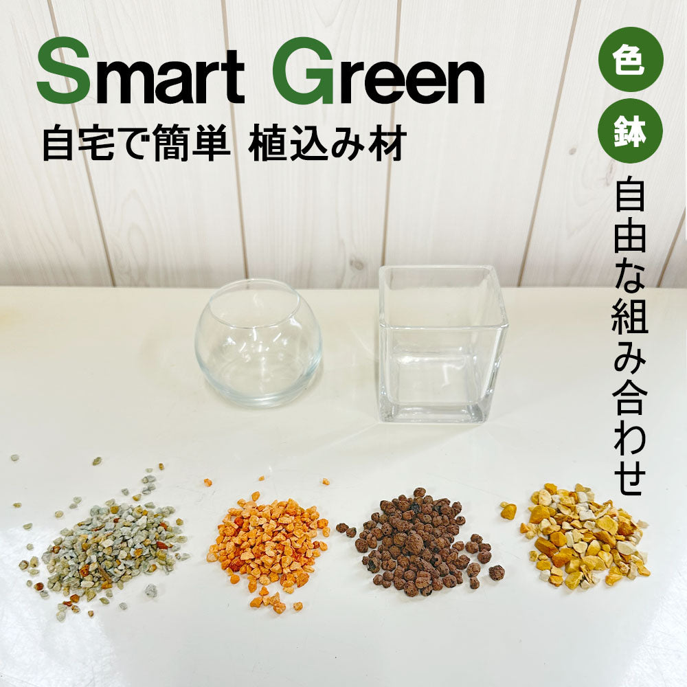 【ハイドロカルチャー植え替え用】 観葉植物 ハイドロカルチャー 4号用 植え替え 室内用 鉢植え 選べる 植え込み材 ハイドロボール ハイドロコーン ゼオライト 4号鉢 まで対応 送料無料 [植え替えオプション]