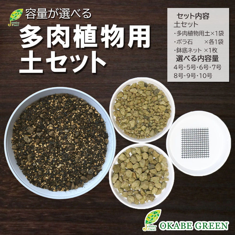 宝石のような観葉植物のお店 【Jewelry Plant】 【多肉植物用植え替え