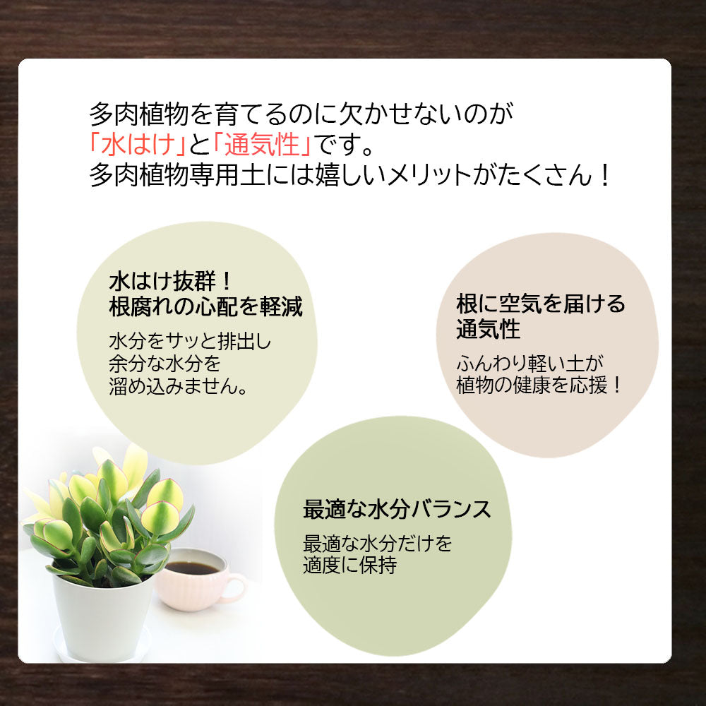 宝石のような観葉植物のお店 【Jewelry Plant】 【多肉植物用植え替え土セット】 容量が選べる 4号 5号 6号 7号 8号 9号 10号  送料無料 [植え替えオプション] – Jewelry Plant online