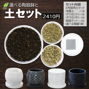 宝石のような観葉植物のお店 【Jewelry Plant】 植え替え土 陶器鉢