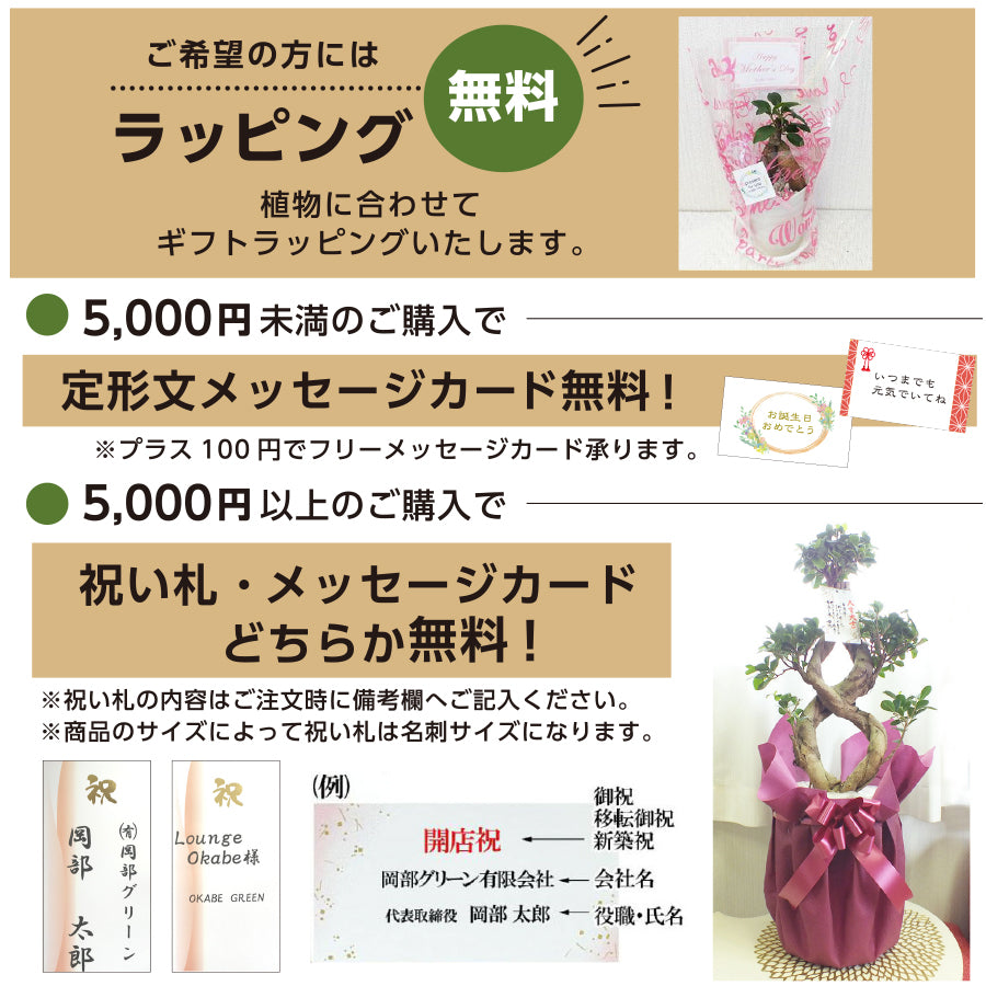 宝石のような観葉植物のお店 【Jewelry Plant】 お正月花 飾り 寄せ