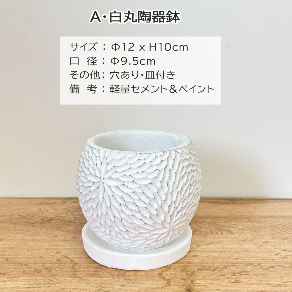 陶器鉢 4号 デザイン陶器 選べる種類 丸筒 選べるカラー 白 黒 ホワイト ブラック