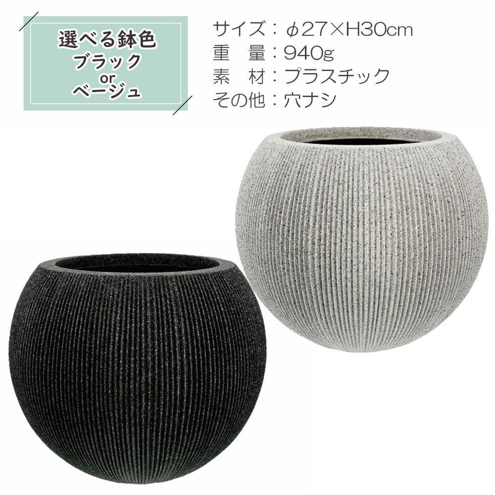 観葉植物 大型 パキラ 幹曲がり 8号 丸型プランター ラッピング無料 選べる色 ベージュ ブラック  送料無料 [白7]