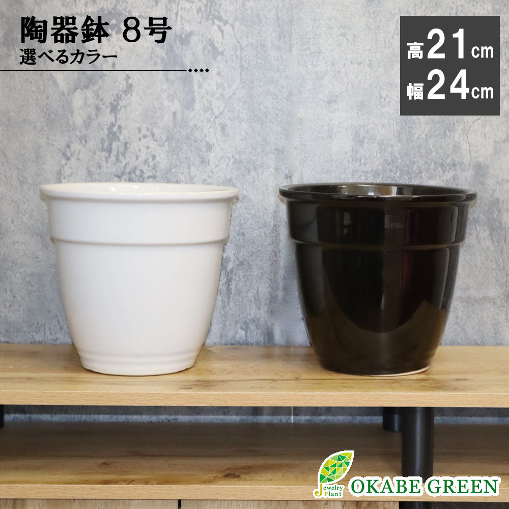 鉢 おしゃれ 陶器鉢 8号 デザイン陶器 選べるカラー 白 黒