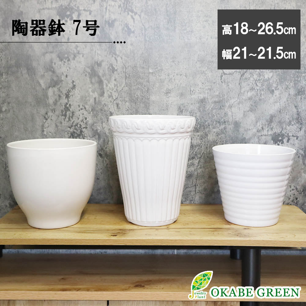 宝石のような観葉植物のお店 【Jewelry Plant】 鉢 植木鉢 陶器鉢 ７号 選べるカラー 植物用 底穴あり – Jewelry Plant  online