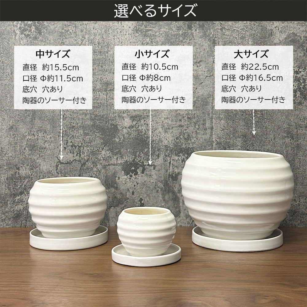 鉢 陶器鉢 選べるサイズ 丸陶器 ソーサー付 選べるカラー サイズ ホワイト ブラック