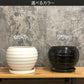 鉢 陶器鉢 選べるサイズ 丸陶器 ソーサー付 選べるカラー サイズ ホワイト ブラック