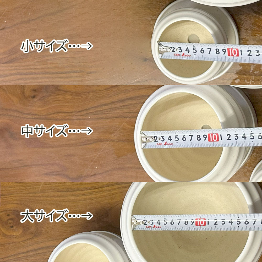 鉢 陶器鉢 選べるサイズ 丸陶器 ソーサー付 選べるカラー サイズ ホワイト ブラック