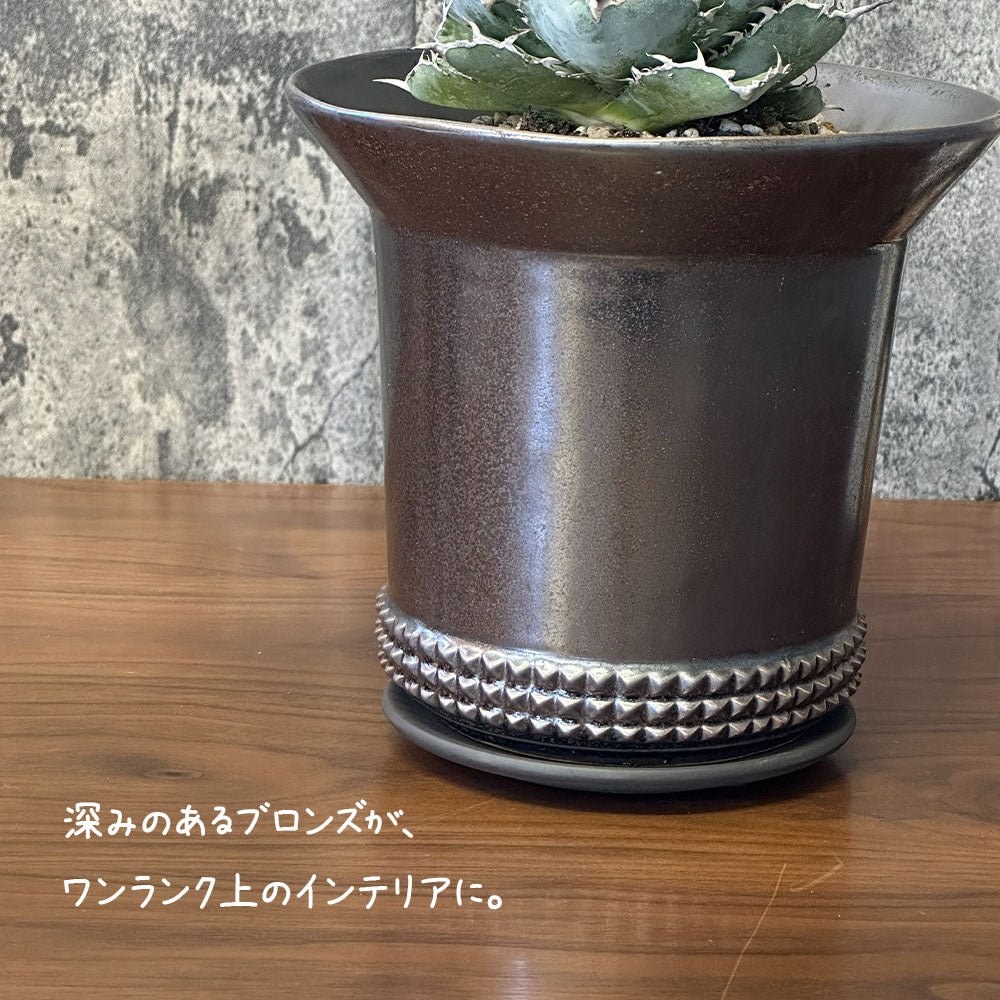 多肉植物 アガベ チタノタ ブルー＆ブラック 【現品】 ブロンズ陶器鉢 送料別
