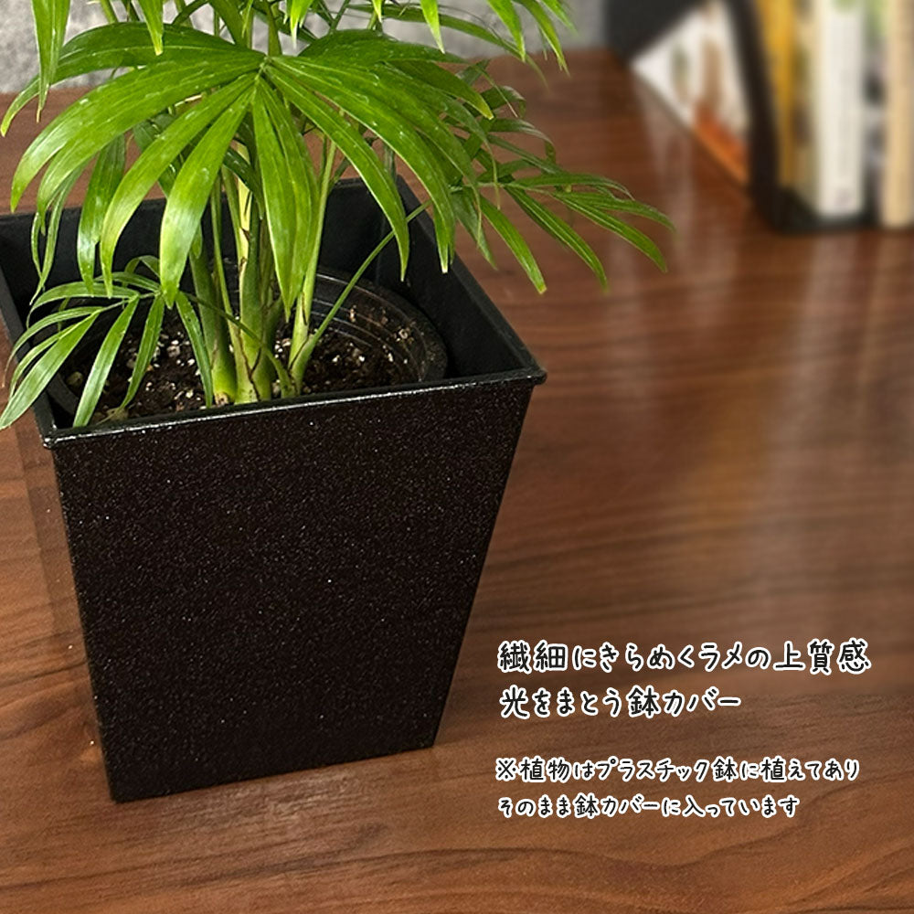 テーブルヤシ ４号 黒プラスチックカバー 送料別