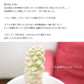 ユーフォルビア ポイゾニー ５号 選べる樹形 【現品】 白セラアート鉢 受皿付