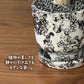 観葉植物 【希少品種】 ユーフォルビア ユニスピナ 【現品】 デザイン陶器鉢 多肉植物  送料無料